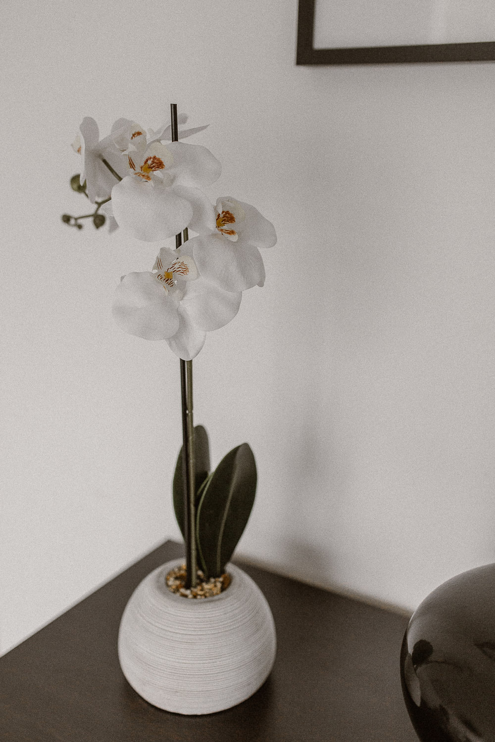 Stéphane Ribis_Acupuncture_Cabinet_Orsay