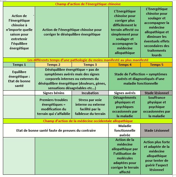 Blog Stéphane Ribis_Acupuncture_Energétique chinoise